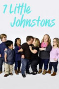 7 Little Johnstons