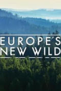 Europe's New Wild