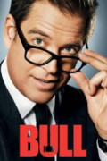 Bull (2016)
