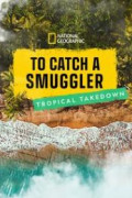 To Catch a Smuggler: Tropical Takedown