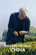 The Forever Walk: China