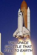 The Space Shuttle That Fell to Earth