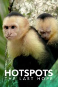 Hotspots: The Last Hope