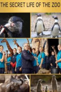 The Secret Life of the Zoo