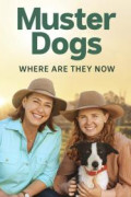 Muster Dogs: Where Are They Now